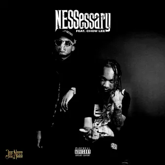 NESSessary by Joe Ness