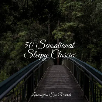 50 Sensational Sleepy Classics by Crying & Colic Relief