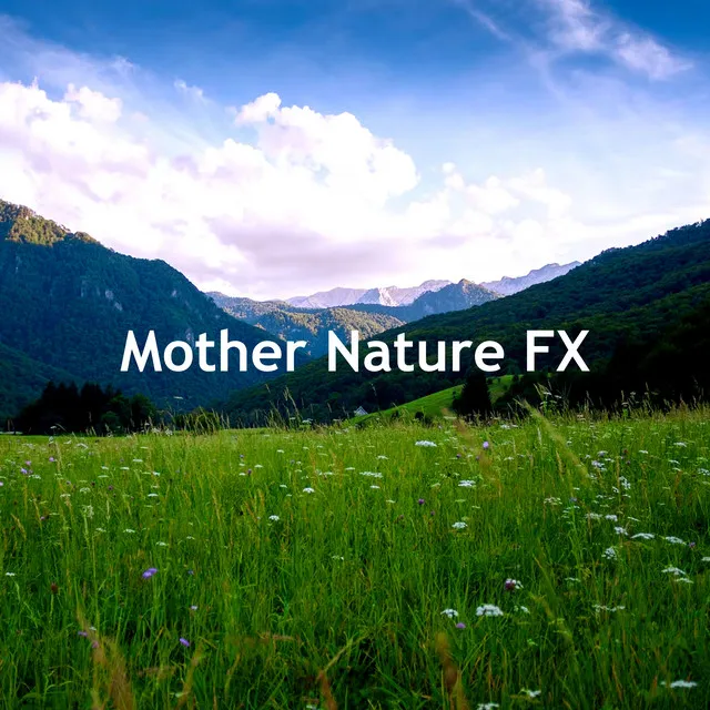 Mother Nature FX