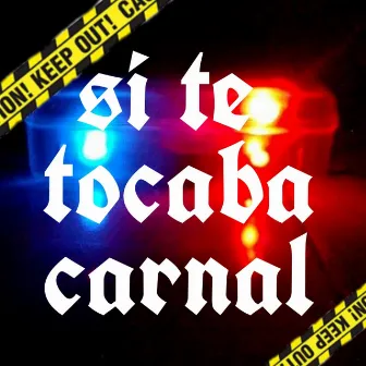 Si Te Tocaba Carnal by Luiyii Sandoval