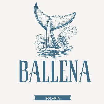 BALLENA by Solaria