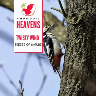 Twisty Wind - Breeze of Nature by The World of Nature Sounds