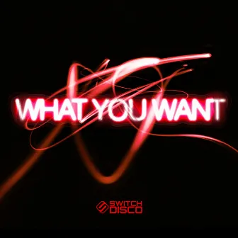 WHAT YOU WANT by Switch Disco