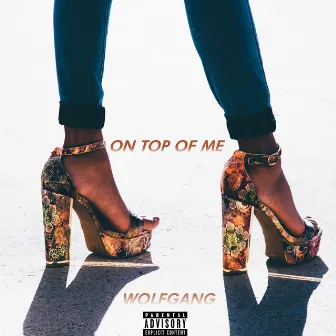 On Top of Me by Wxlfgvng!