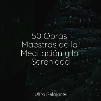 50 Obras Maestras de la Meditación y la Serenidad by Massagem Música