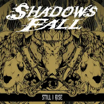 Still I Rise by Shadows Fall