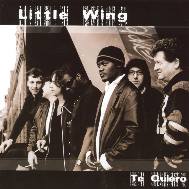 Little Wing - The Next Generation