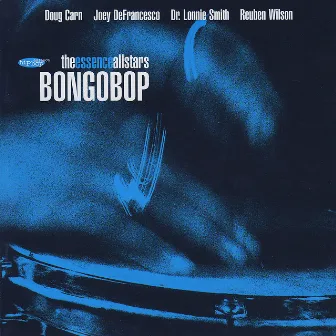 Bongobop by Essence All-stars