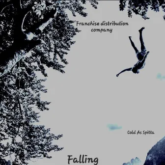 Falling by Franchise Distribution Company