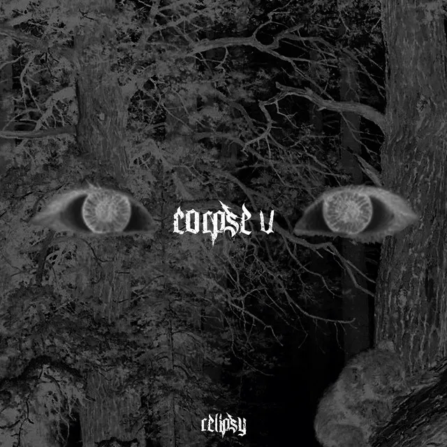 Corpse Ⅴ