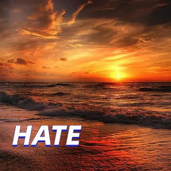 Hate 3D by Seven6