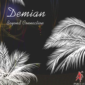 Beyond Connection by Demian