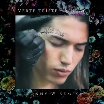 Verte Triste (Zonny W Remix) by Zonny W