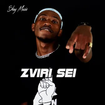 Zviri Sei by Skay Muzic