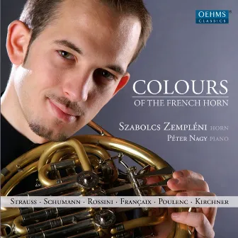 Colours of the French Horn by Szabolcs Zempleni