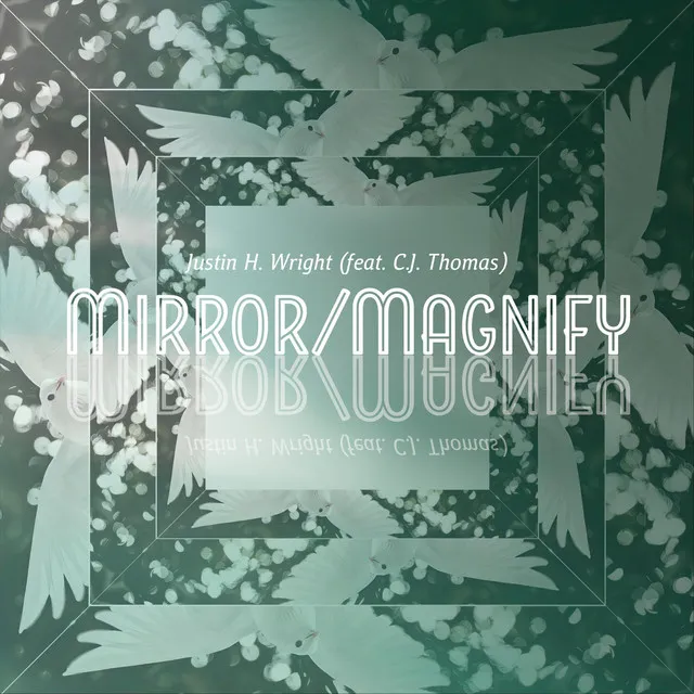 Mirror / Magnify