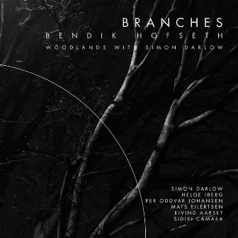 Branches (Forest Quadrology) by Bendik Hofseth