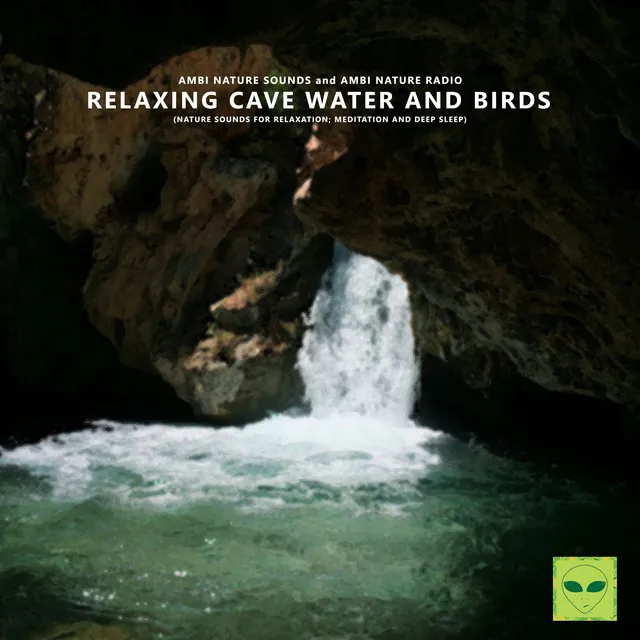 Relaxing Cave Water and Birds (Nature Sounds for Relaxation, Meditation and Deep Sleep)