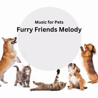 Music for Pets: Furry Friends Melody by Star Patterns