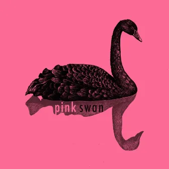 The Case Of The Pink Swan by Pink Swan