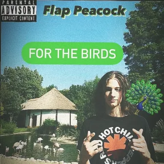 For the Birds by Flap PeaCock