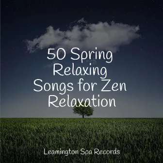 50 Spring Relaxing Songs for Zen Relaxation by Crying & Colic Relief