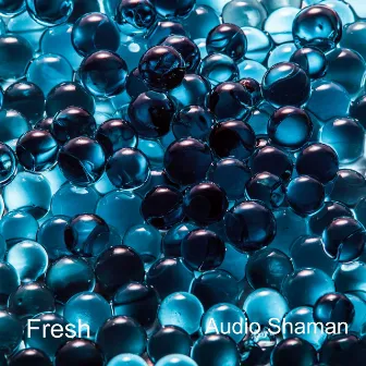 Fresh by Audio Shaman