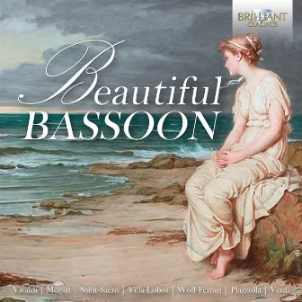 Beautiful Bassoon by Francesco Bossone