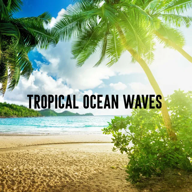 Tropical Ocean Waves