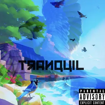 TRANQUIL -EP by Fvamous