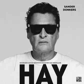 Hay - Biografie van de grootste rockster van Nederland (Onverkort) by Barry Hay