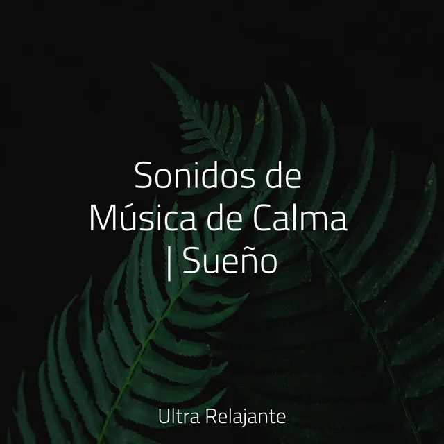 Canción De Cuna Pura