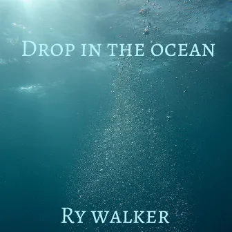 Drop in the Ocean by Ry Walker