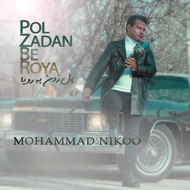 Pol Zadan Be Roya