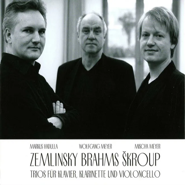 Trio for Clarinet, Cello & Piano in D Minor, Op. 3: I. Allegro ma non troppo