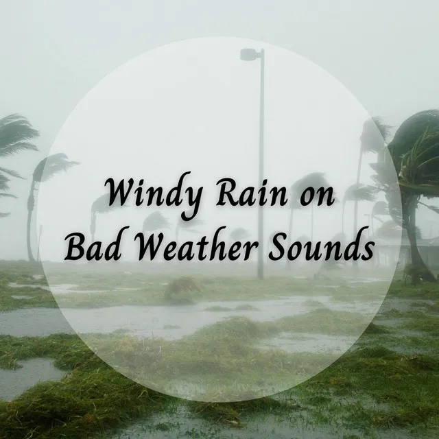 Rain Wind Sounds