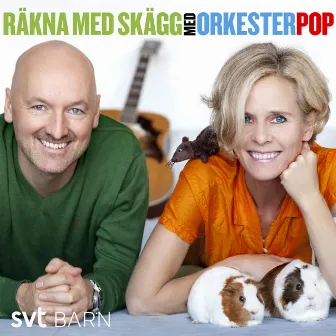 Räkna med skägg by Orkesterpop