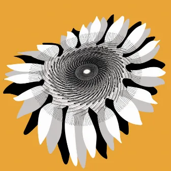 Sunflower by Freeway Clyde