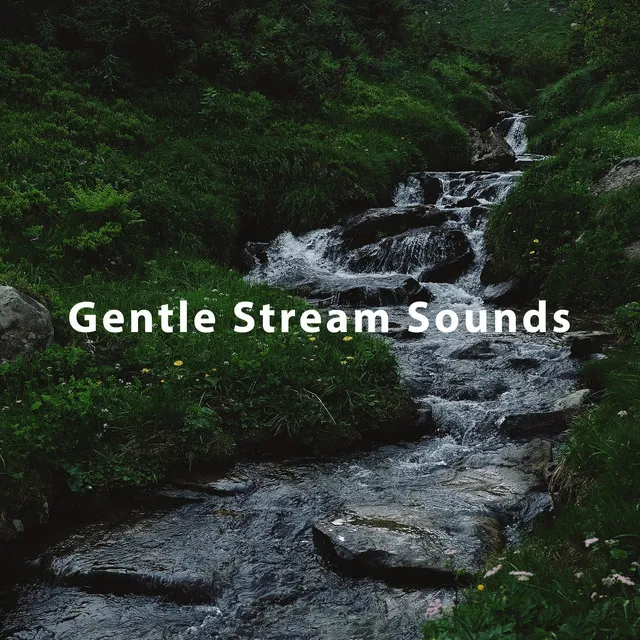 Gentle Steam Sounds Pt. 3