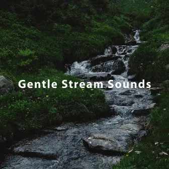 Gentle Steam Sounds, Calm River Sounds by Unknown Artist