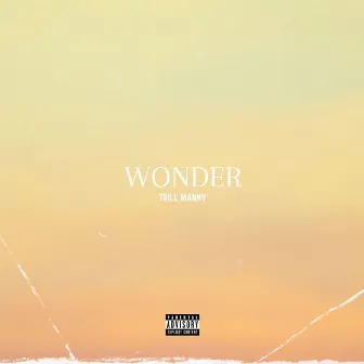 wonder by trill manny