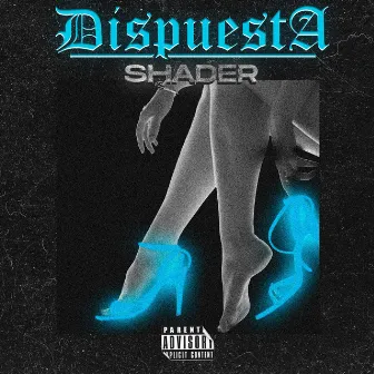 Dispuesta by Shader