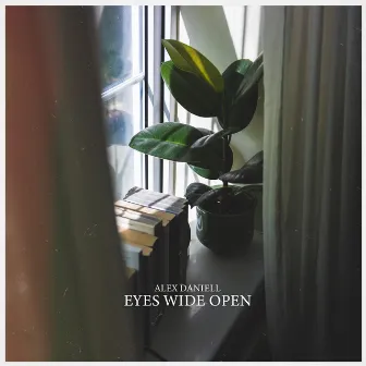 Eyes Wide Open (Radio-Edit) by Alex Daniell