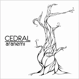 Cedral by Aranemi