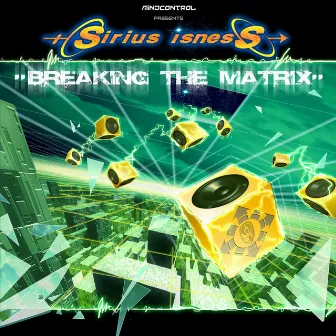 Breaking The Matrix by Sirius Isness