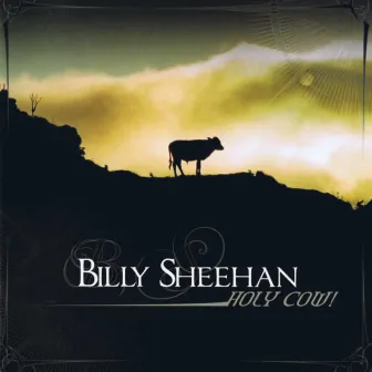 Holy Cow! by Billy Sheehan