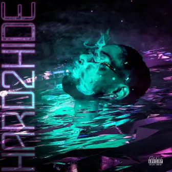 Hard2Hide by Carlito