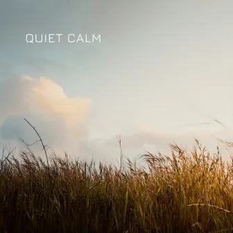 Quiet Calm by Decidic FX