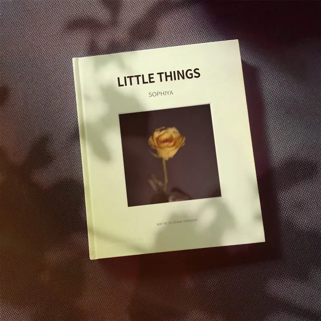 Little Things