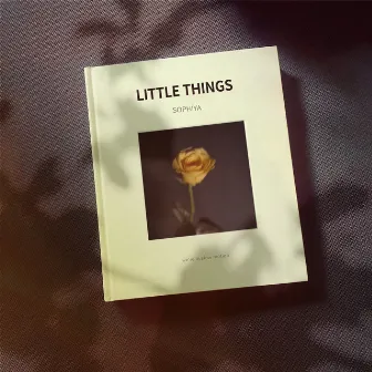 Little Things by Sophiya